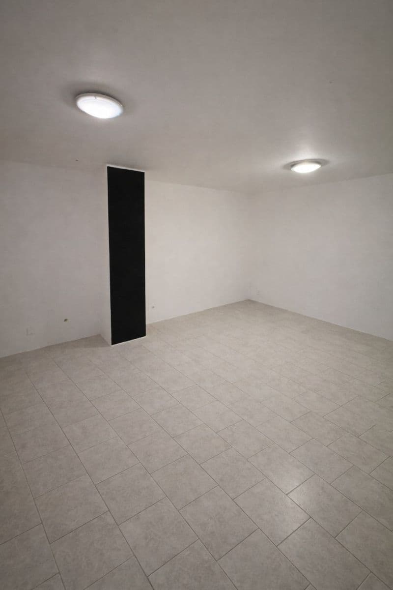 Prenájom nebytového priestoru 48 m², Oldřichova, Praha, Praha Prenájom nebytového priestoru 48 m², Oldřichova, Praha, Praha