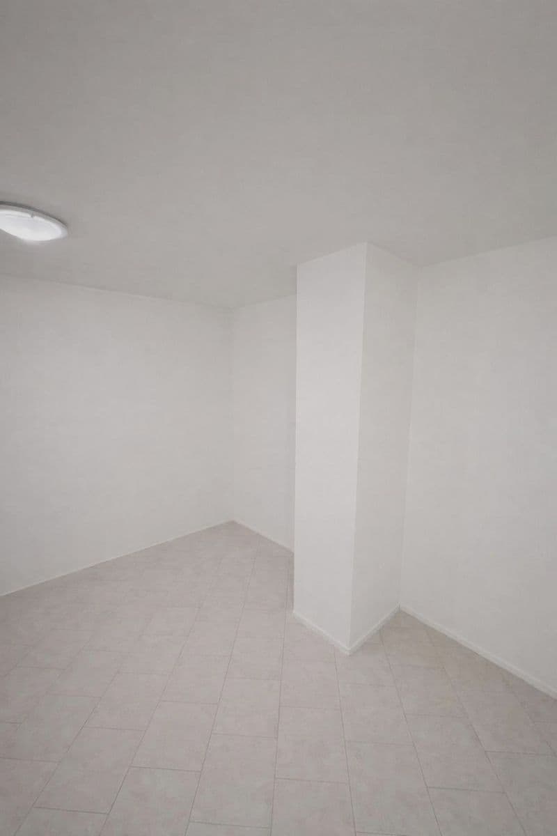 Prenájom nebytového priestoru 48 m², Oldřichova, Praha, Praha Prenájom nebytového priestoru 48 m², Oldřichova, Praha, Praha