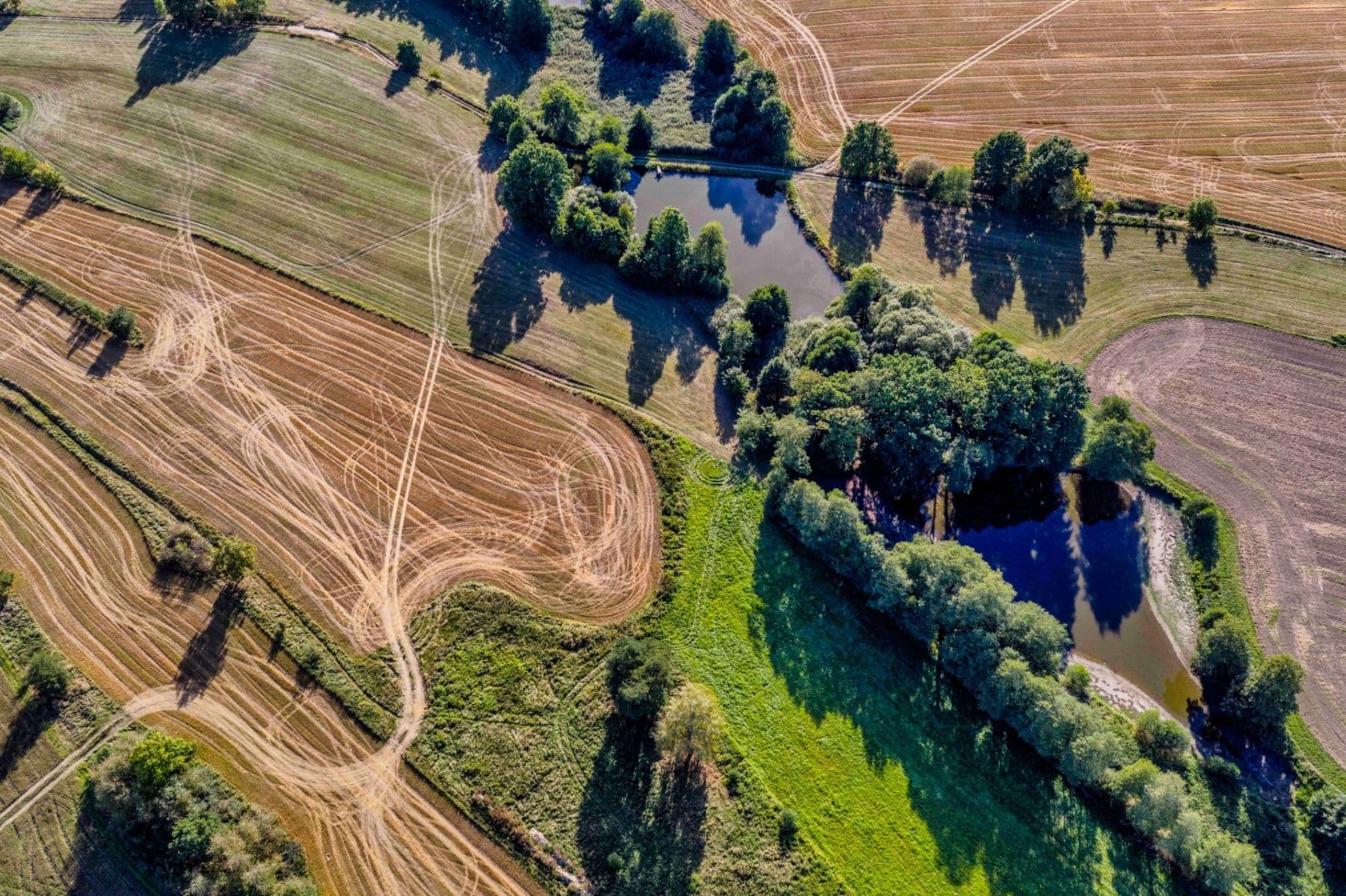 Predaj pozemku 2.102 m², Lásenice, Jihočeský kraj Predaj pozemku 2.102 m², Lásenice, Jihočeský kraj