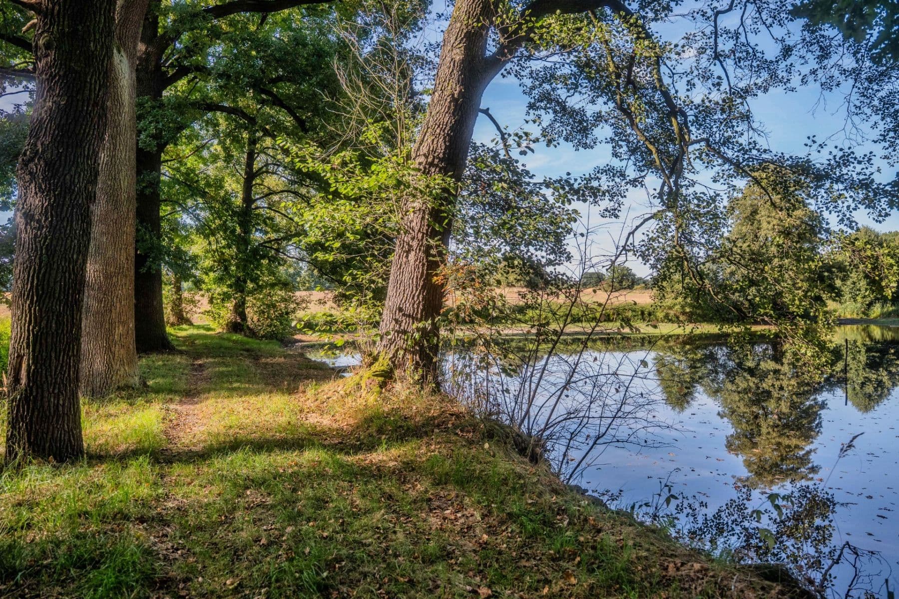 Predaj pozemku 2.102 m², Lásenice, Jihočeský kraj Predaj pozemku 2.102 m², Lásenice, Jihočeský kraj