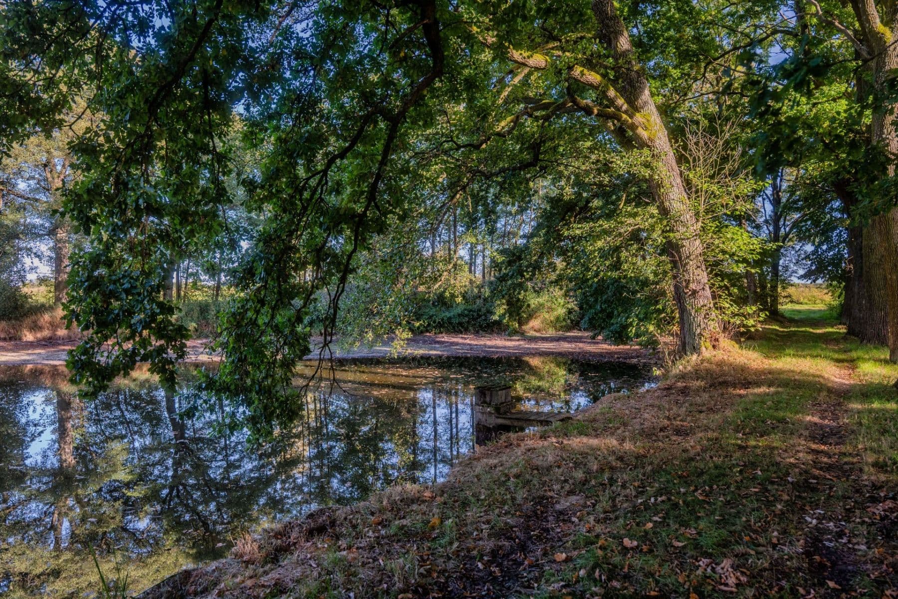 Predaj pozemku 2.102 m², Lásenice, Jihočeský kraj Predaj pozemku 2.102 m², Lásenice, Jihočeský kraj