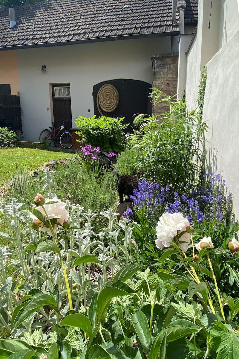 Predaj domu 80 m², pozemek 265 m², Ovčáry, Středočeský kraj Predaj domu 80 m², pozemek 265 m², Ovčáry, Středočeský kraj