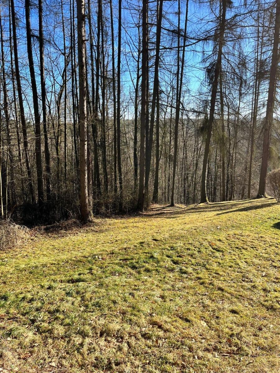 Predaj domu 50 m², pozemek 400 m², Boršov nad Vltavou, Jihočeský kraj Predaj domu 50 m², pozemek 400 m², Boršov nad Vltavou, Jihočeský kraj