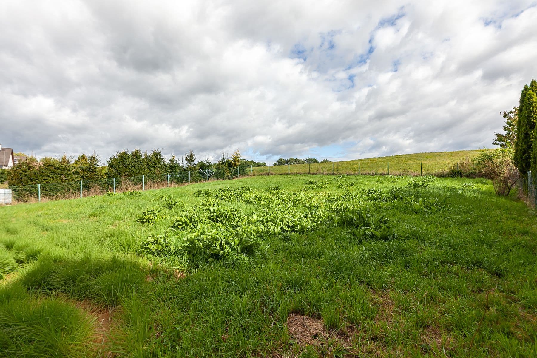 Predaj domu 130 m², pozemek 1.132 m², Horní Libchava, Liberecký kraj Predaj domu 130 m², pozemek 1.132 m², Horní Libchava, Liberecký kraj