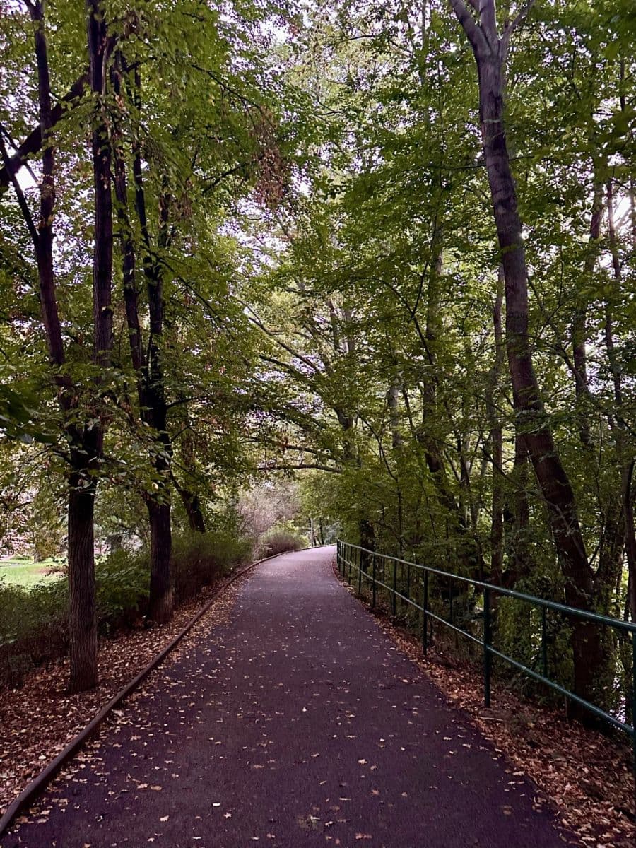 Predaj bytu 2-izbový 58 m², Petrohradská, Praha, Praha Predaj bytu 2-izbový 58 m², Petrohradská, Praha, Praha