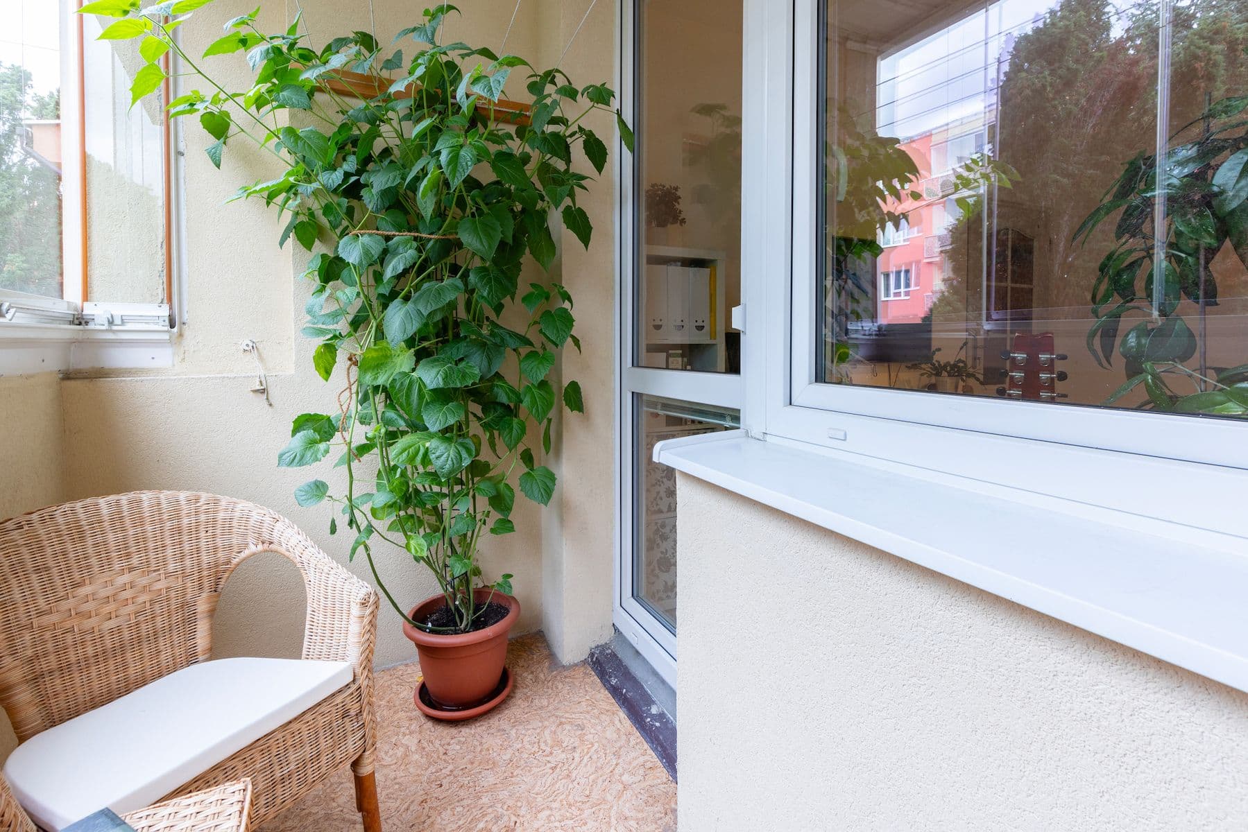 Predaj bytu 3-izbový 70 m², Tasovská, Praha, Praha Predaj bytu 3-izbový 70 m², Tasovská, Praha, Praha