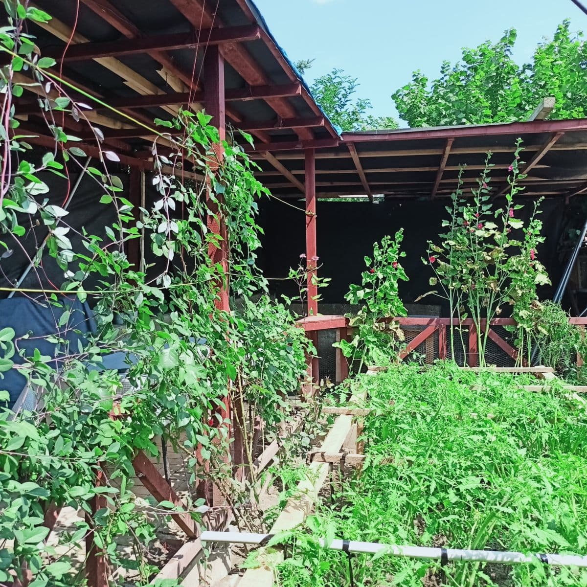 Predaj rekreačného objektu 30 m², pozemek 800 m², Velemín, Ústecký kraj Predaj rekreačného objektu 30 m², pozemek 800 m², Velemín, Ústecký kraj