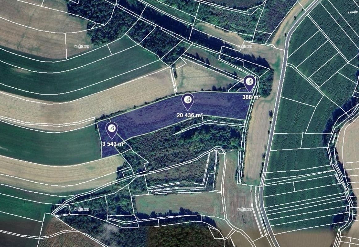 Predaj pozemku 24.367 m², Polepy, Ústecký kraj Predaj pozemku 24.367 m², Polepy, Ústecký kraj