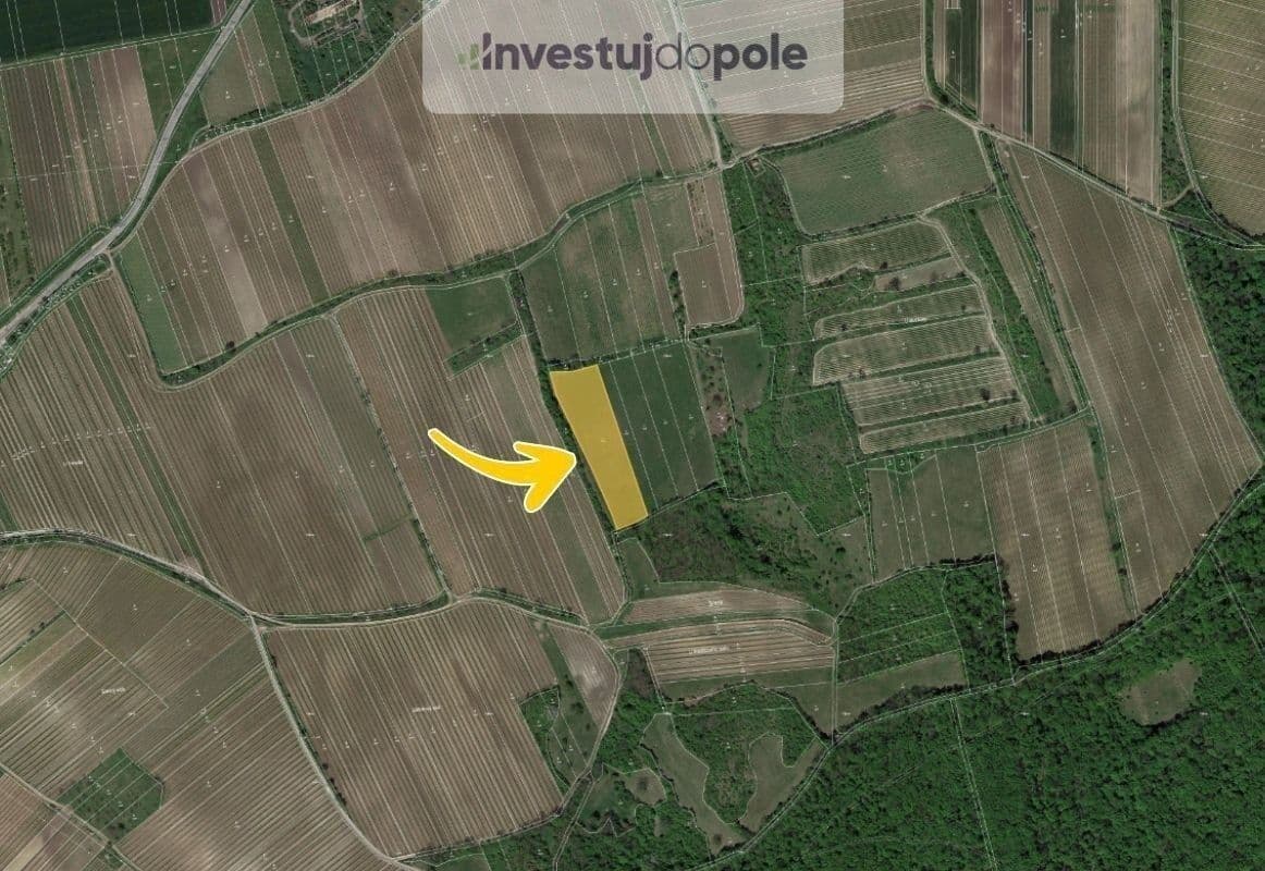 Predaj pozemku 8.391 m², Horní Věstonice, Jihomoravský kraj Predaj pozemku 8.391 m², Horní Věstonice, Jihomoravský kraj
