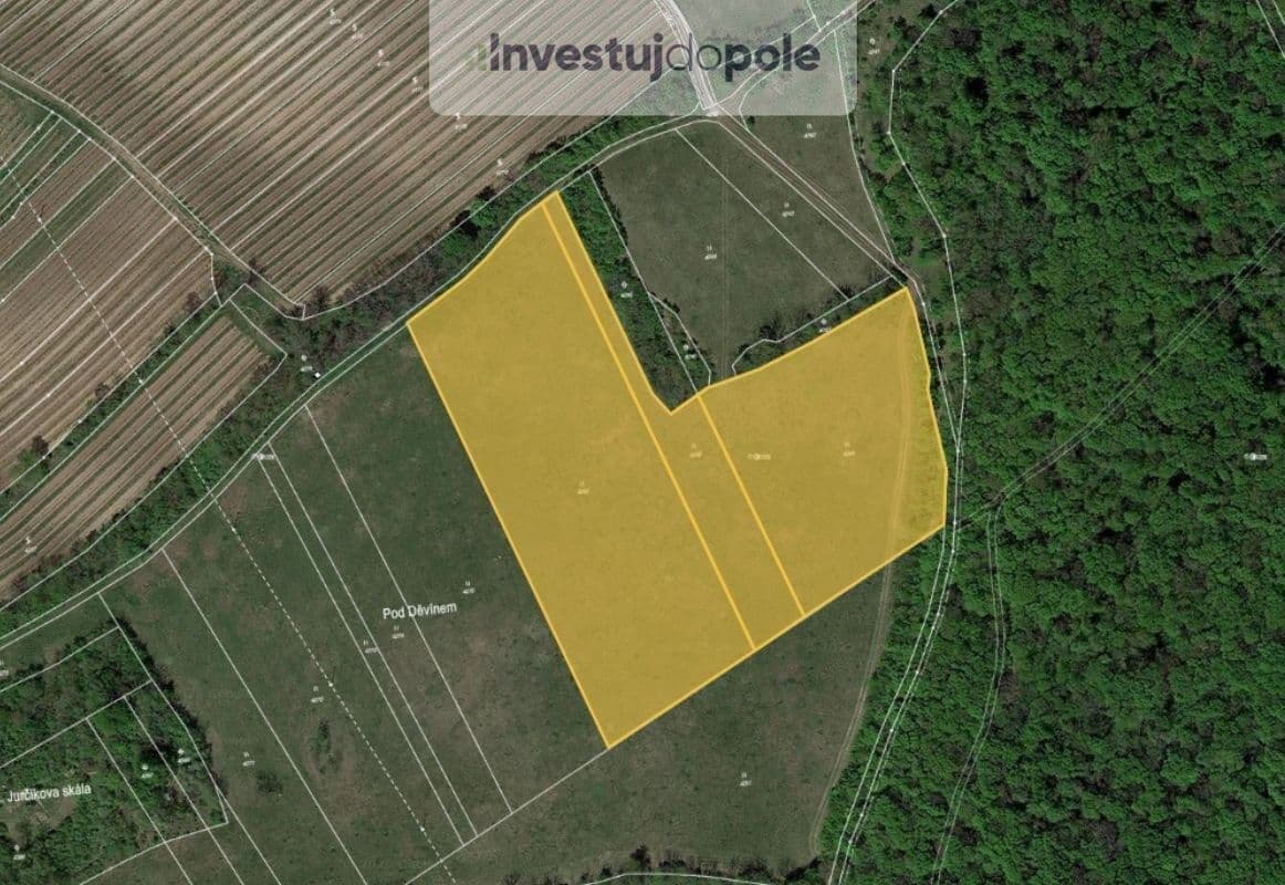 Predaj pozemku 24.706 m², Horní Věstonice, Jihomoravský kraj Predaj pozemku 24.706 m², Horní Věstonice, Jihomoravský kraj