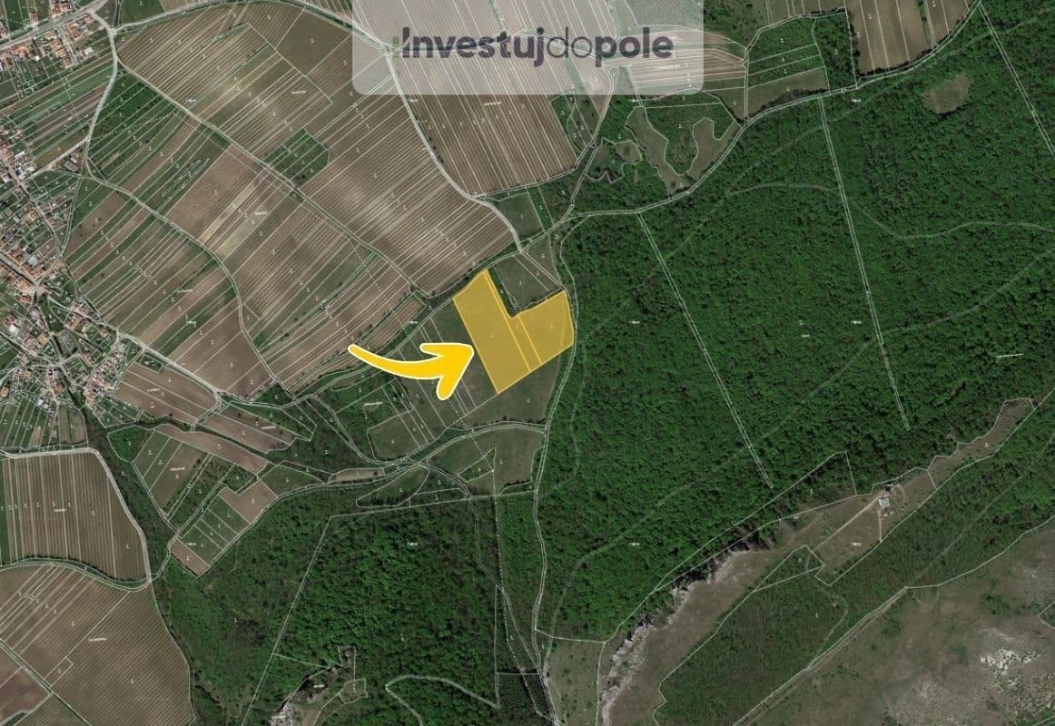 Predaj pozemku 24.706 m², Horní Věstonice, Jihomoravský kraj Predaj pozemku 24.706 m², Horní Věstonice, Jihomoravský kraj