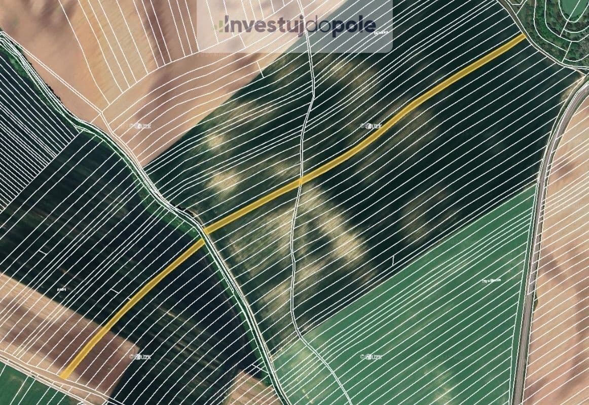 Predaj pozemku 8.100 m², Čejkovice, Jihomoravský kraj Predaj pozemku 8.100 m², Čejkovice, Jihomoravský kraj