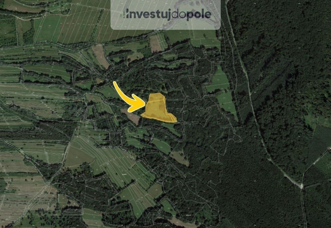Predaj pozemku 2.938 m², Velká nad Veličkou, Jihomoravský kraj Predaj pozemku 2.938 m², Velká nad Veličkou, Jihomoravský kraj