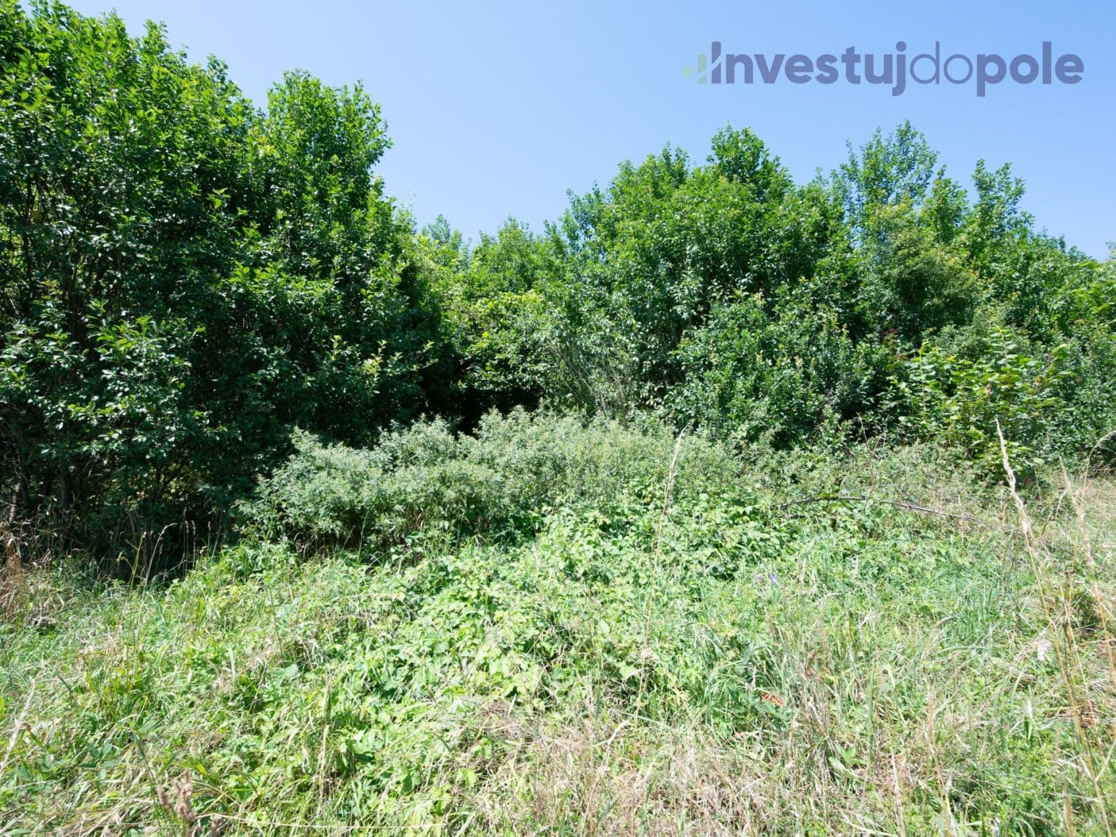 Predaj pozemku 2.240 m², Hrubá Skála, Liberecký kraj Predaj pozemku 2.240 m², Hrubá Skála, Liberecký kraj