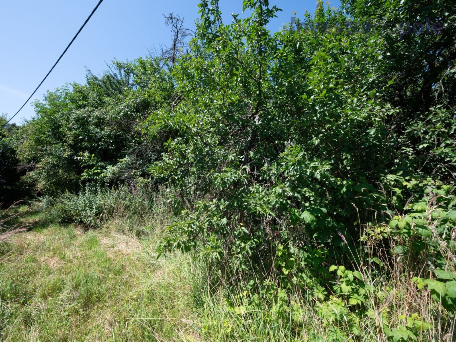 Predaj pozemku 2.240 m², Hrubá Skála, Liberecký kraj Predaj pozemku 2.240 m², Hrubá Skála, Liberecký kraj