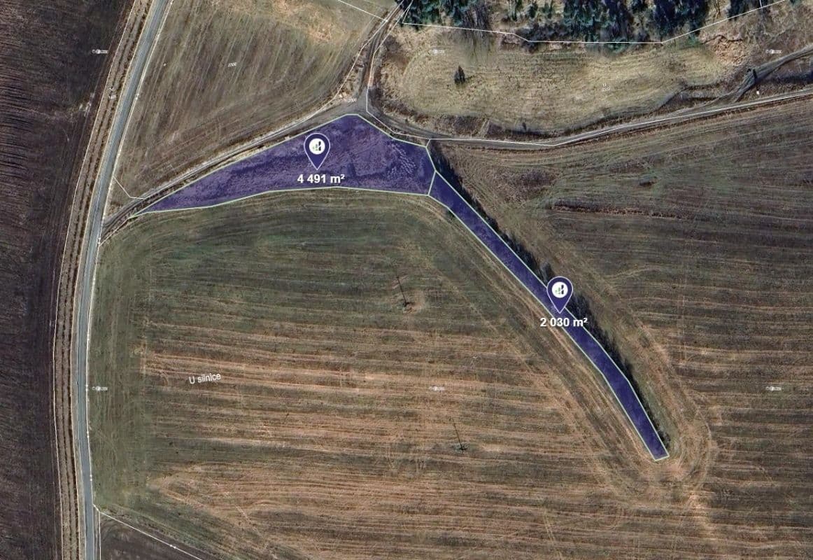 Predaj pozemku 17.635 m², Planá, Plzeňský kraj Predaj pozemku 17.635 m², Planá, Plzeňský kraj