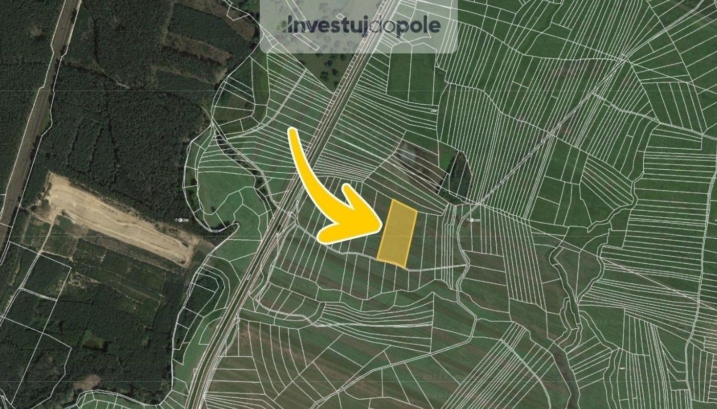 Predaj pozemku 3.029 m², Bzenec, Jihomoravský kraj Predaj pozemku 3.029 m², Bzenec, Jihomoravský kraj
