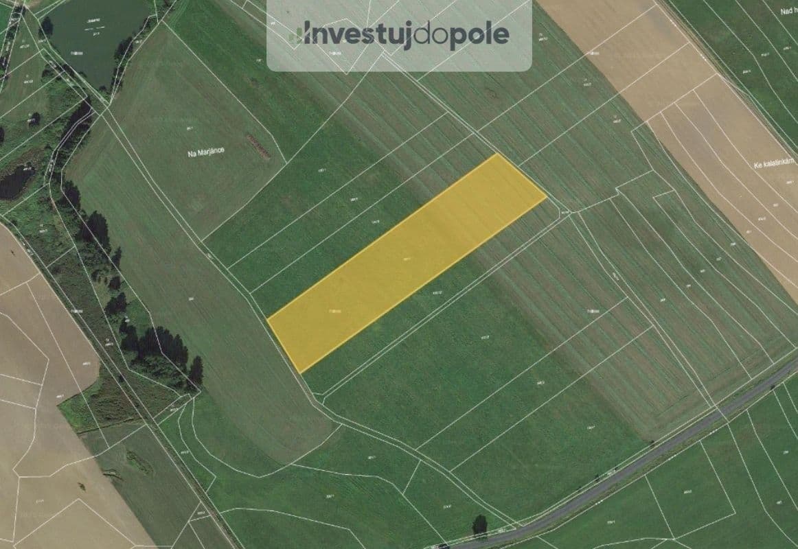 Predaj pozemku 11.102 m², Běhařov, Plzeňský kraj Predaj pozemku 11.102 m², Běhařov, Plzeňský kraj