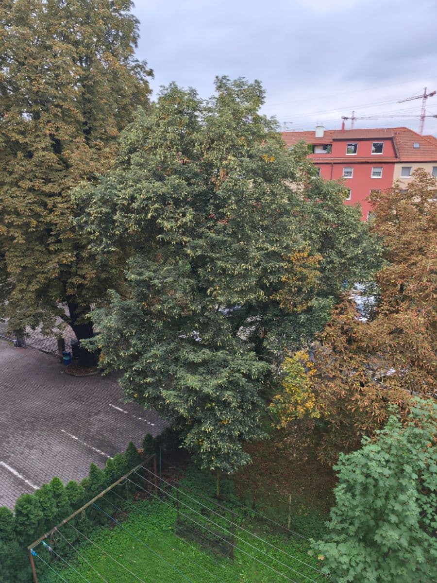 Prenájom bytu Garsoniéra 27 m², Kbelská, Praha, Praha Prenájom bytu Garsoniéra 27 m², Kbelská, Praha, Praha