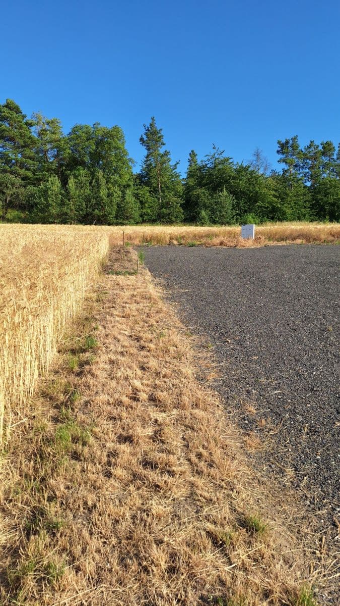 Predaj pozemku 950 m², Líšťany, Ústecký kraj Predaj pozemku 950 m², Líšťany, Ústecký kraj