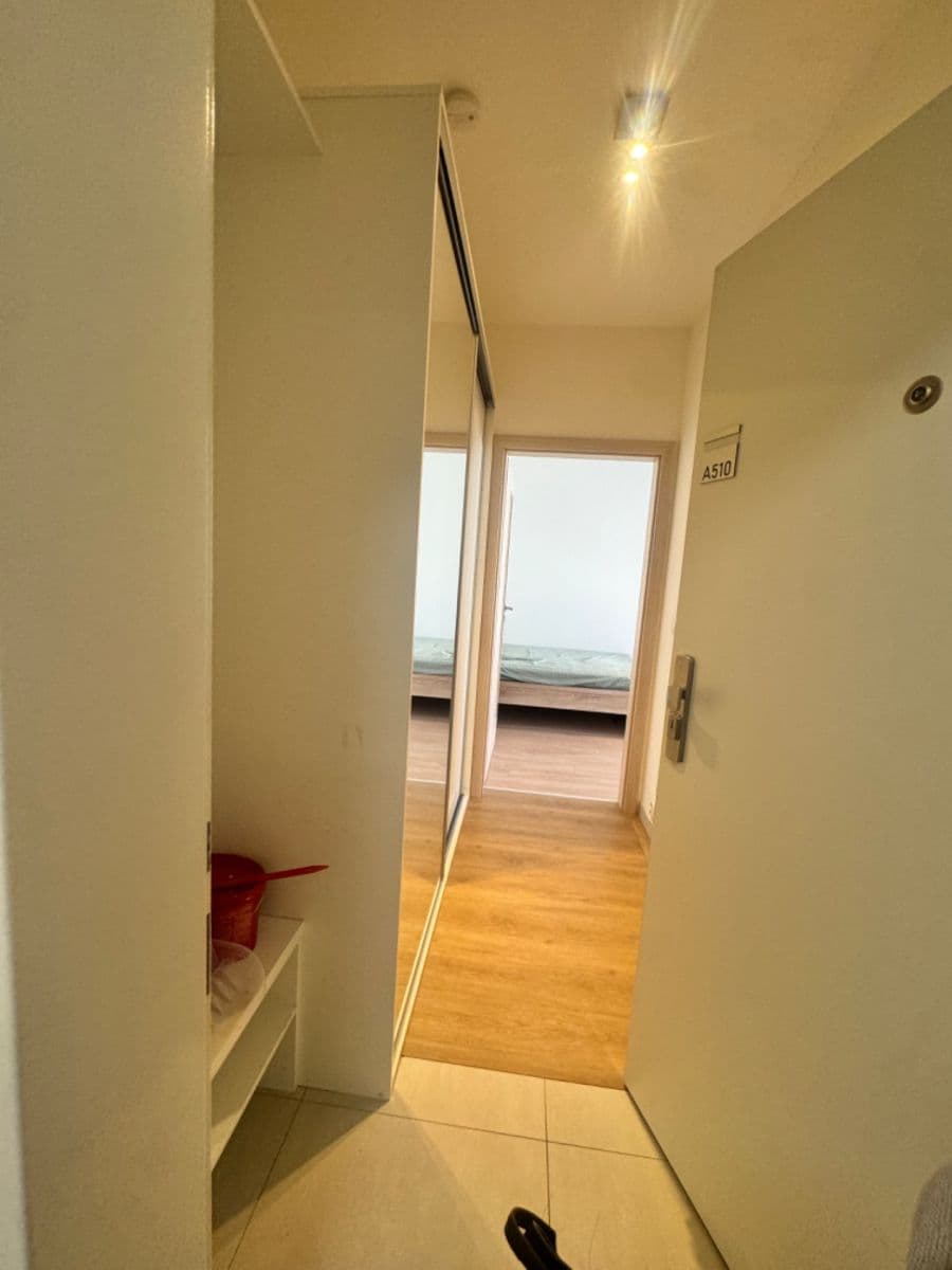 Prenájom bytu 1-izbový 34 m², Sokolovská, Praha, Praha Prenájom bytu 1-izbový 34 m², Sokolovská, Praha, Praha
