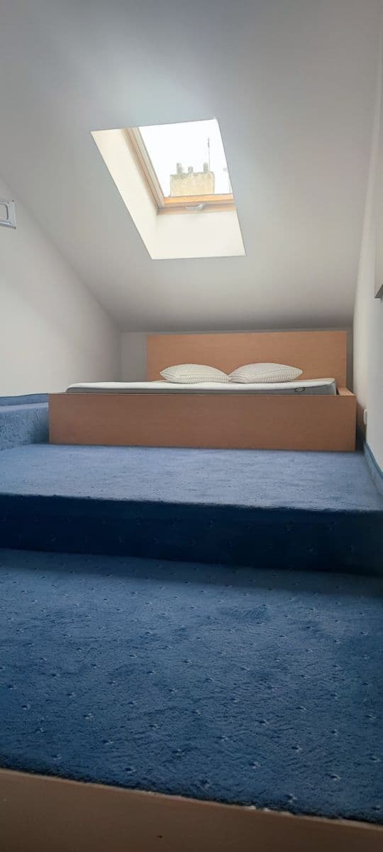 Prenájom bytu 3-izbový 60 m², Rumunská, Praha, Praha Prenájom bytu 3-izbový 60 m², Rumunská, Praha, Praha