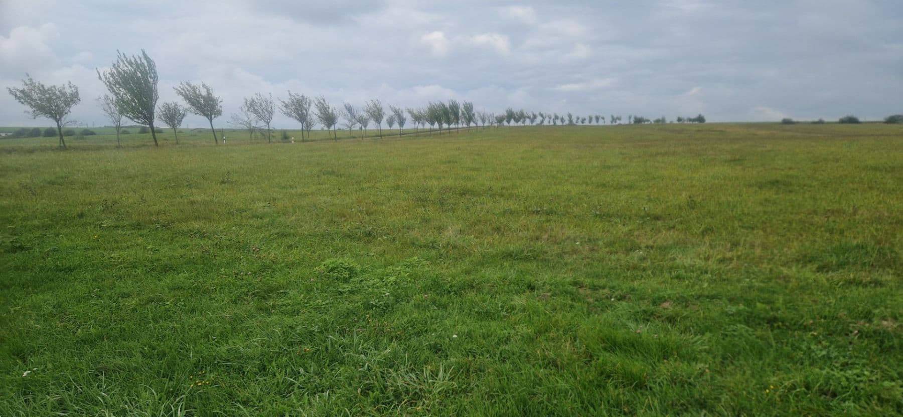 Predaj pozemku 4.626 m², Větřkovice, Moravskoslezský kraj Predaj pozemku 4.626 m², Větřkovice, Moravskoslezský kraj