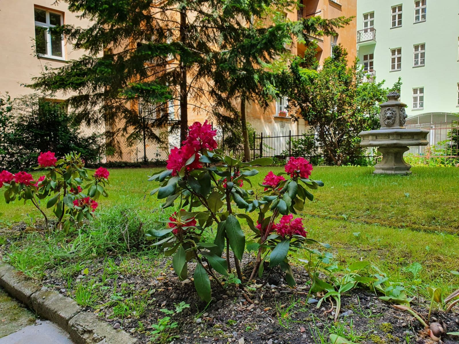 Prenájom bytu 43 m², Tyršova, Praha, Praha Prenájom bytu 43 m², Tyršova, Praha, Praha