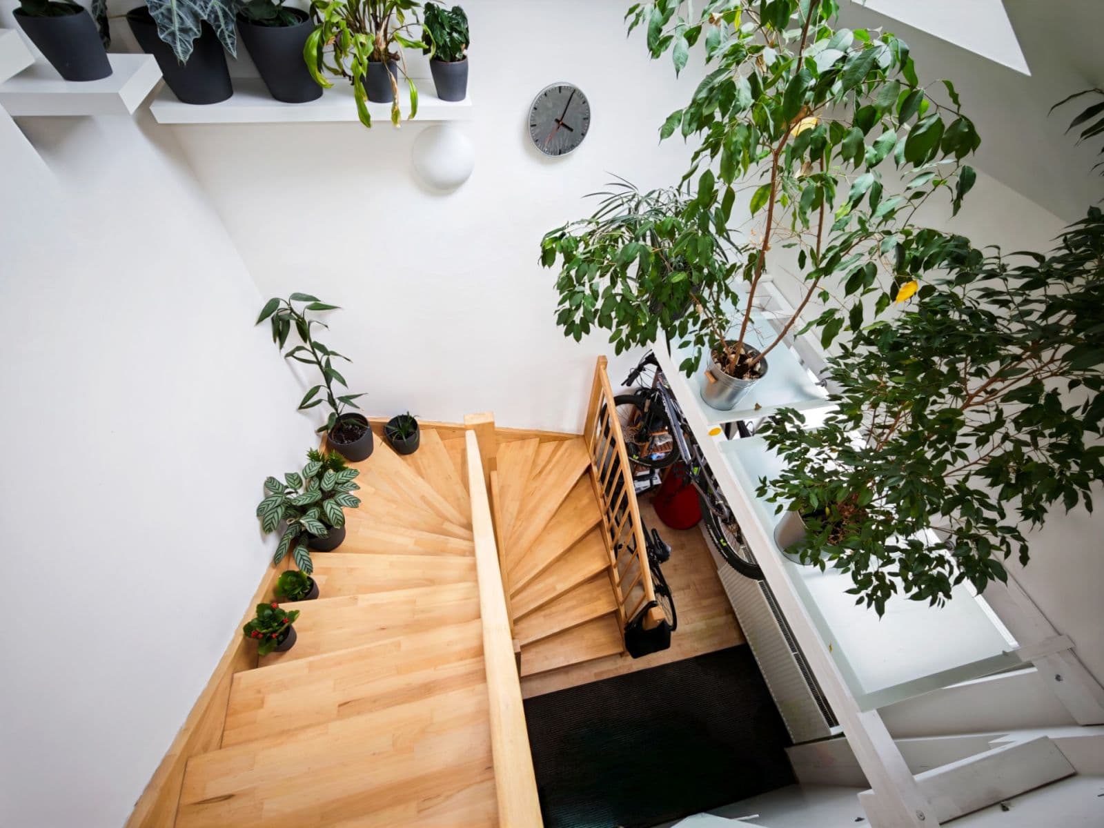 Predaj bytu 2-izbový 67 m², Ponětovická, Brno, Jihomoravský kraj Predaj bytu 2-izbový 67 m², Ponětovická, Brno, Jihomoravský kraj