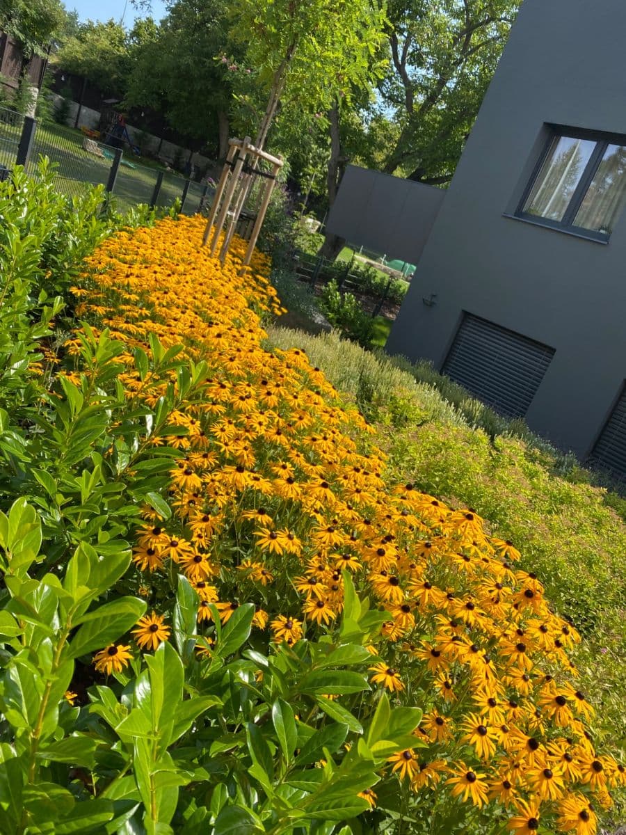 Predaj bytu 3-izbový 84 m², Butovická, Praha, Praha Predaj bytu 3-izbový 84 m², Butovická, Praha, Praha