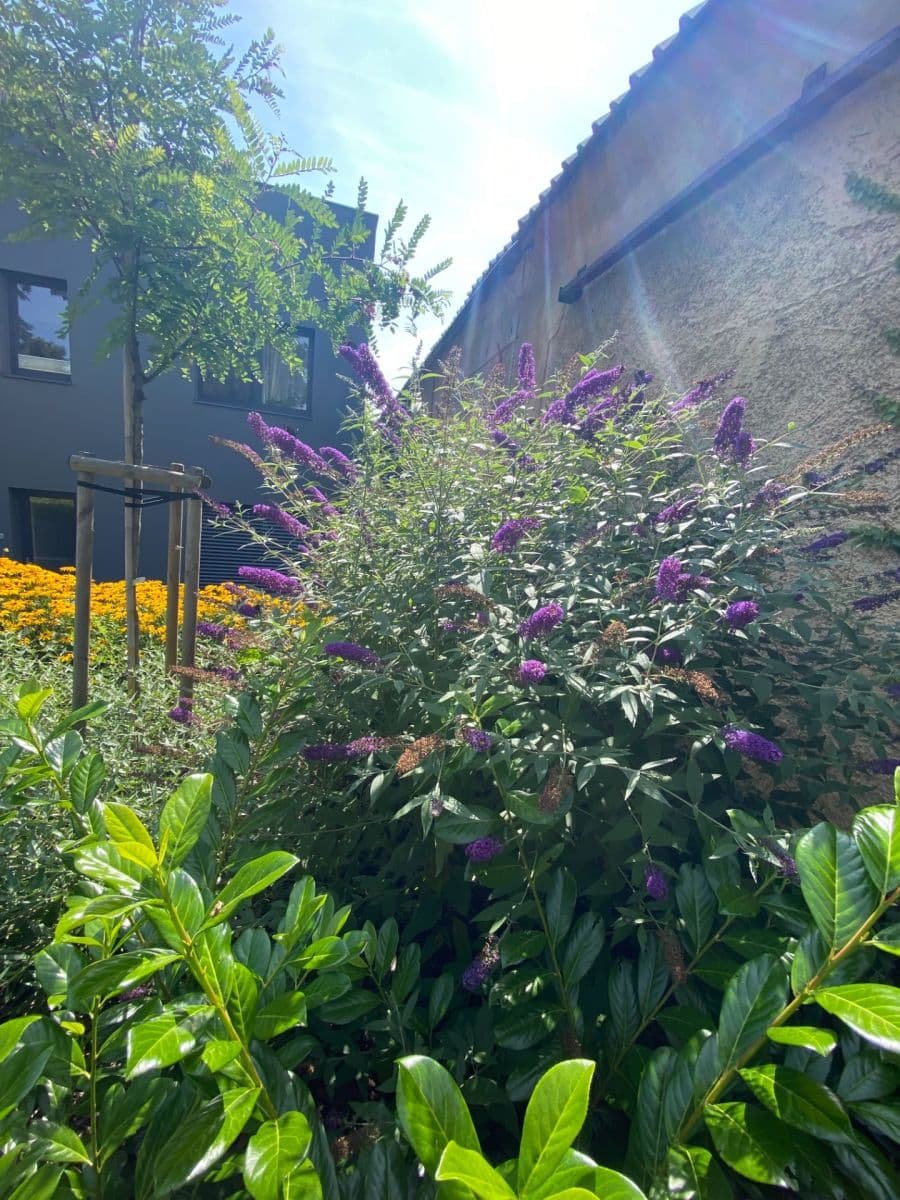 Predaj bytu 3-izbový 84 m², Butovická, Praha, Praha Predaj bytu 3-izbový 84 m², Butovická, Praha, Praha