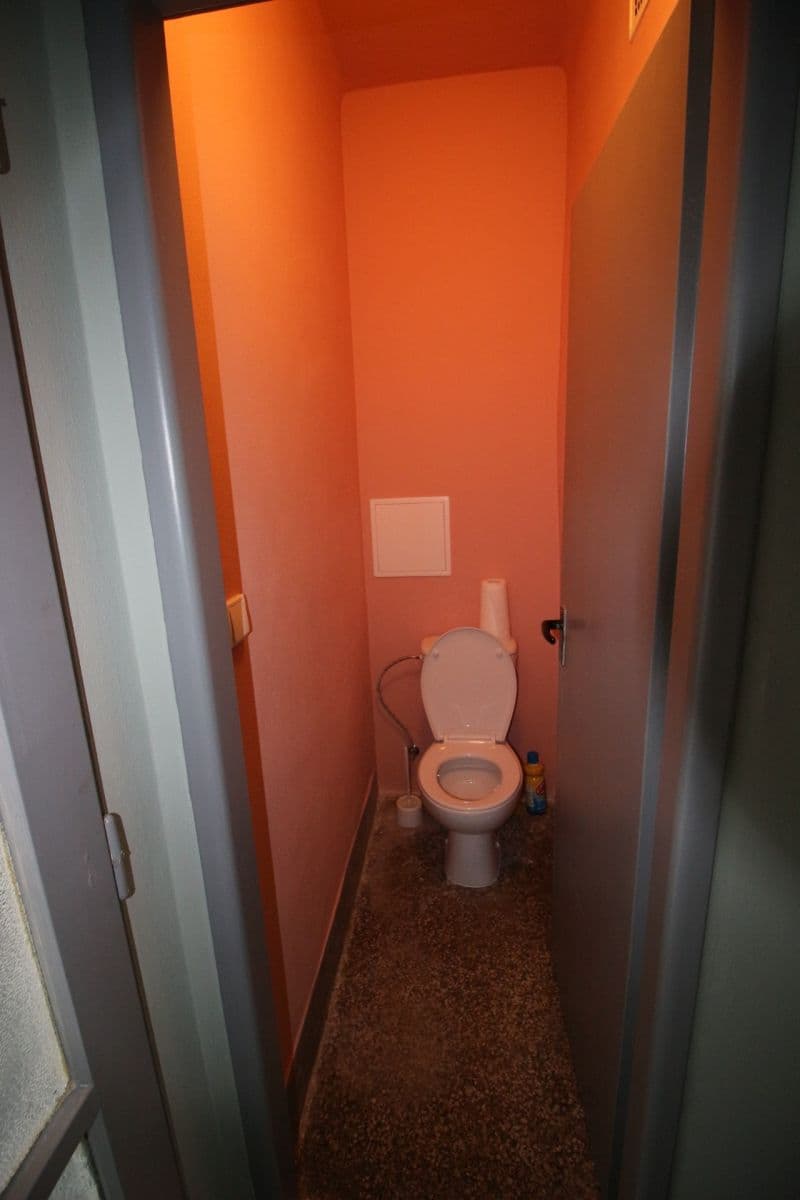 Prenájom bytu 1-izbový 48 m², Žižkova tř., České Budějovice, Jihočeský kraj Prenájom bytu 1-izbový 48 m², Žižkova tř., České Budějovice, Jihočeský kraj