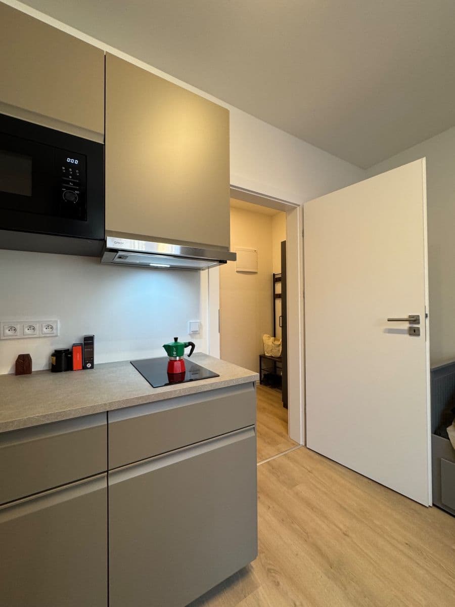 Prenájom bytu 1-izbový 20 m², Za Návsí, Praha, Praha Prenájom bytu 1-izbový 20 m², Za Návsí, Praha, Praha