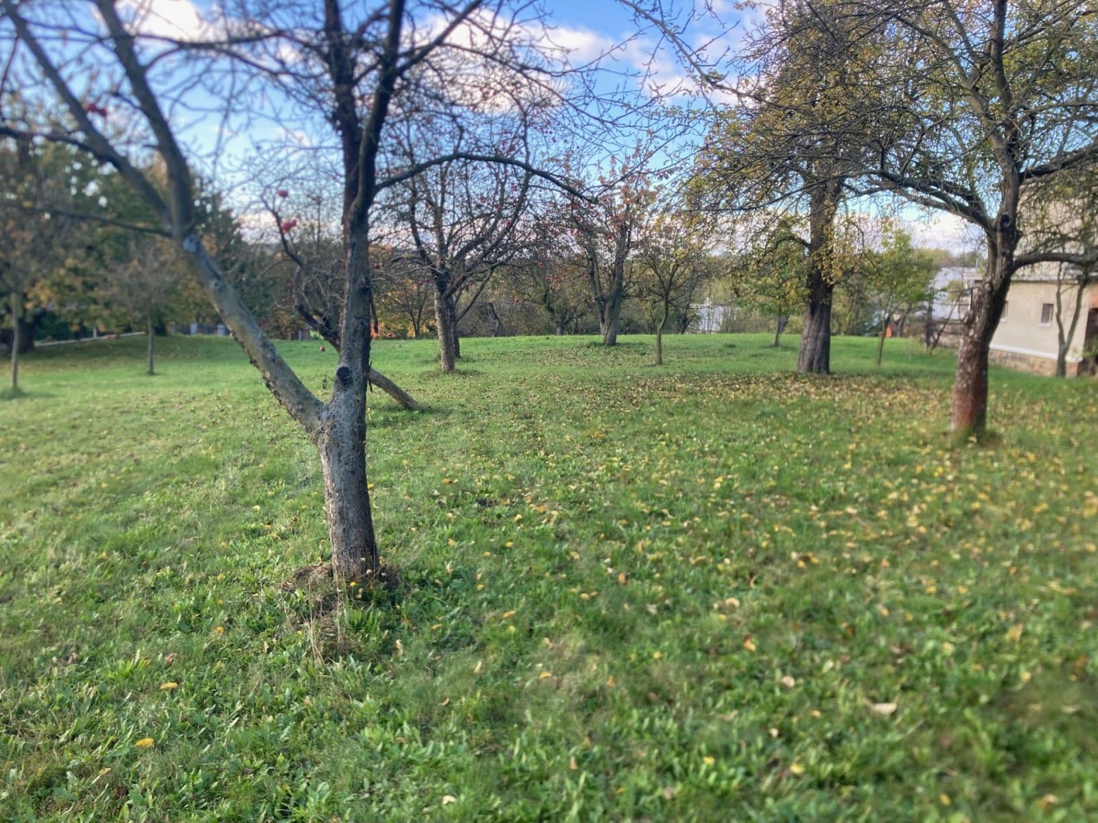 Predaj domu 650 m², pozemek 4.500 m², Oprostovice, Olomoucký kraj Predaj domu 650 m², pozemek 4.500 m², Oprostovice, Olomoucký kraj