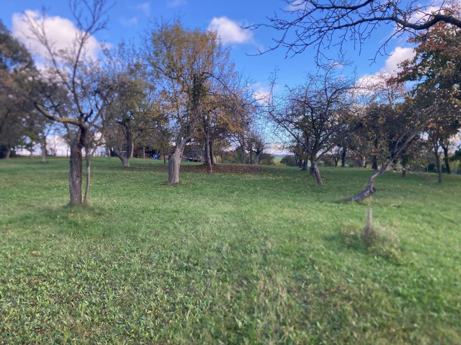 Predaj domu 650 m², pozemek 4.500 m², Oprostovice, Olomoucký kraj Predaj domu 650 m², pozemek 4.500 m², Oprostovice, Olomoucký kraj