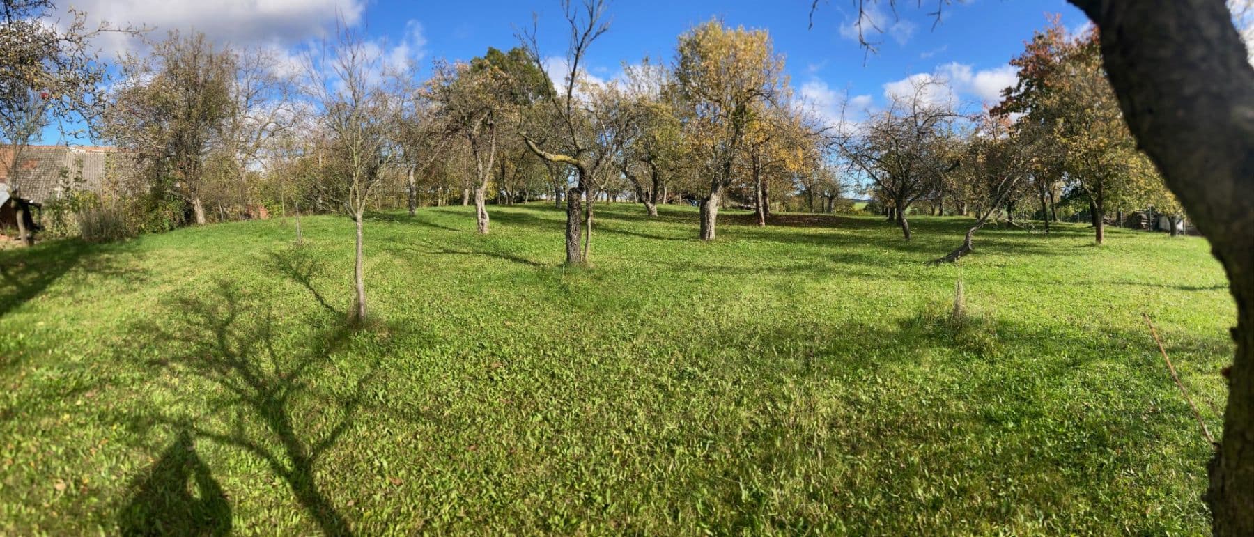 Predaj domu 650 m², pozemek 4.500 m², Oprostovice, Olomoucký kraj Predaj domu 650 m², pozemek 4.500 m², Oprostovice, Olomoucký kraj