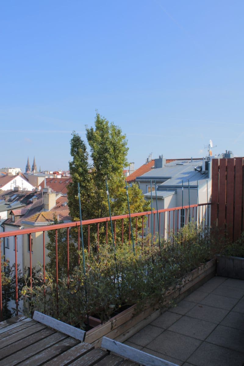 Predaj bytu 2-izbový 79 m², Wenzigova, Praha, Praha Predaj bytu 2-izbový 79 m², Wenzigova, Praha, Praha