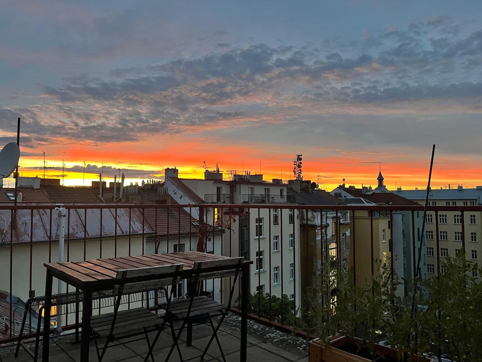 Predaj bytu 2-izbový 79 m², Wenzigova, Praha, Praha Predaj bytu 2-izbový 79 m², Wenzigova, Praha, Praha