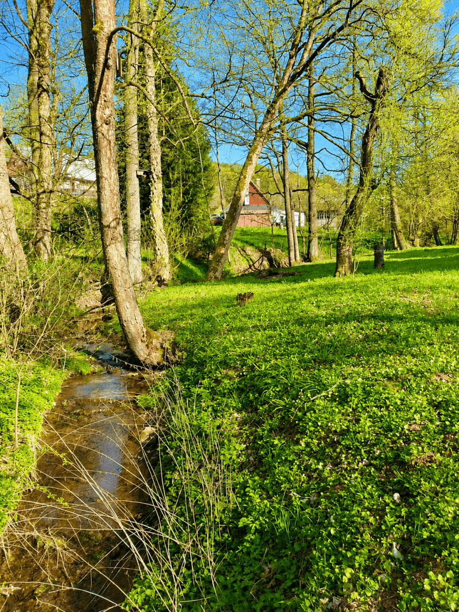 Predaj domu 92 m², pozemok 1.544 m², Bernartice, Královéhradecký kraj Predaj domu 92 m², pozemok 1.544 m², Bernartice, Královéhradecký kraj