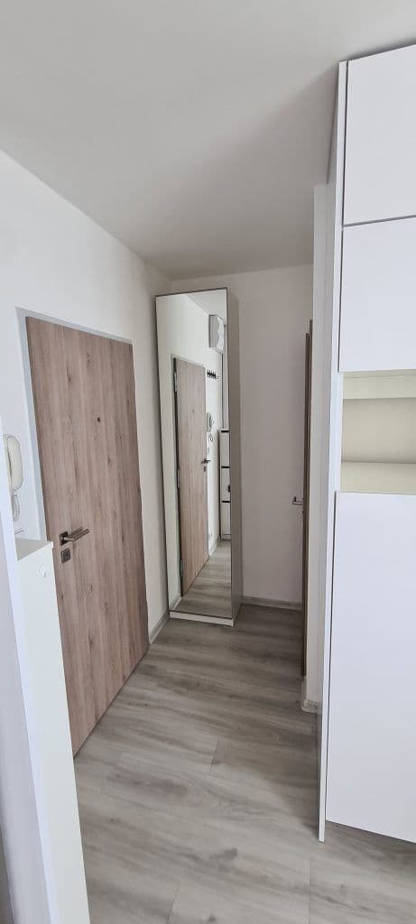 Prenájom bytu 1-izbový 35 m², Bílinská, Praha, Praha Prenájom bytu 1-izbový 35 m², Bílinská, Praha, Praha