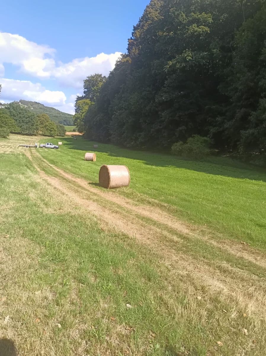 Predaj pozemku 12.761 m², Tachov, Liberecký kraj Predaj pozemku 12.761 m², Tachov, Liberecký kraj