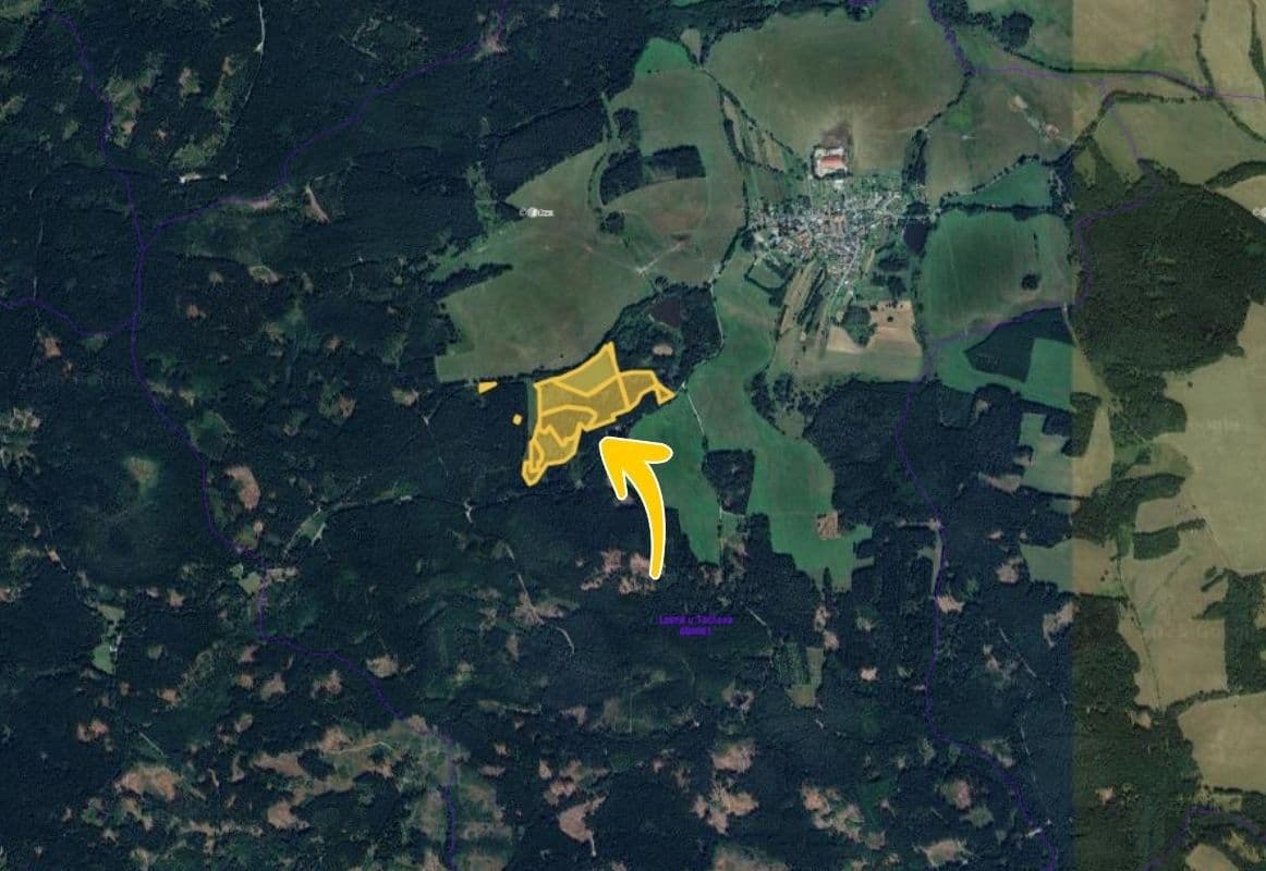 Predaj pozemku 140.755 m², Lesná, Plzeňský kraj Predaj pozemku 140.755 m², Lesná, Plzeňský kraj