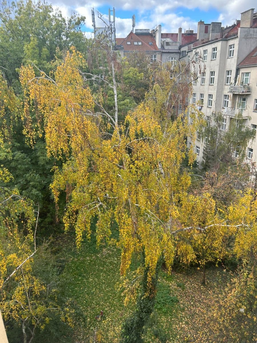 Prenájom bytu 2-izbový 53 m², Podolská, Praha, Praha Prenájom bytu 2-izbový 53 m², Podolská, Praha, Praha