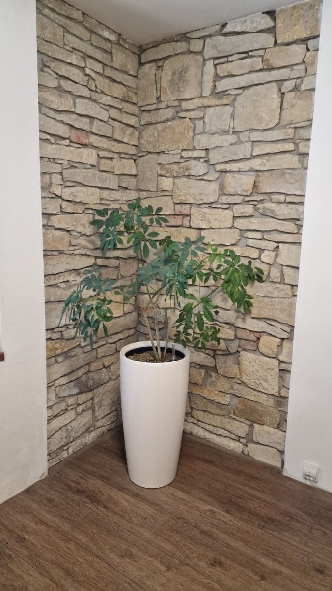 Predaj domu 130 m², pozemek 647 m², A. Jiráska, Jeneč, Středočeský kraj Predaj domu 130 m², pozemek 647 m², A. Jiráska, Jeneč, Středočeský kraj