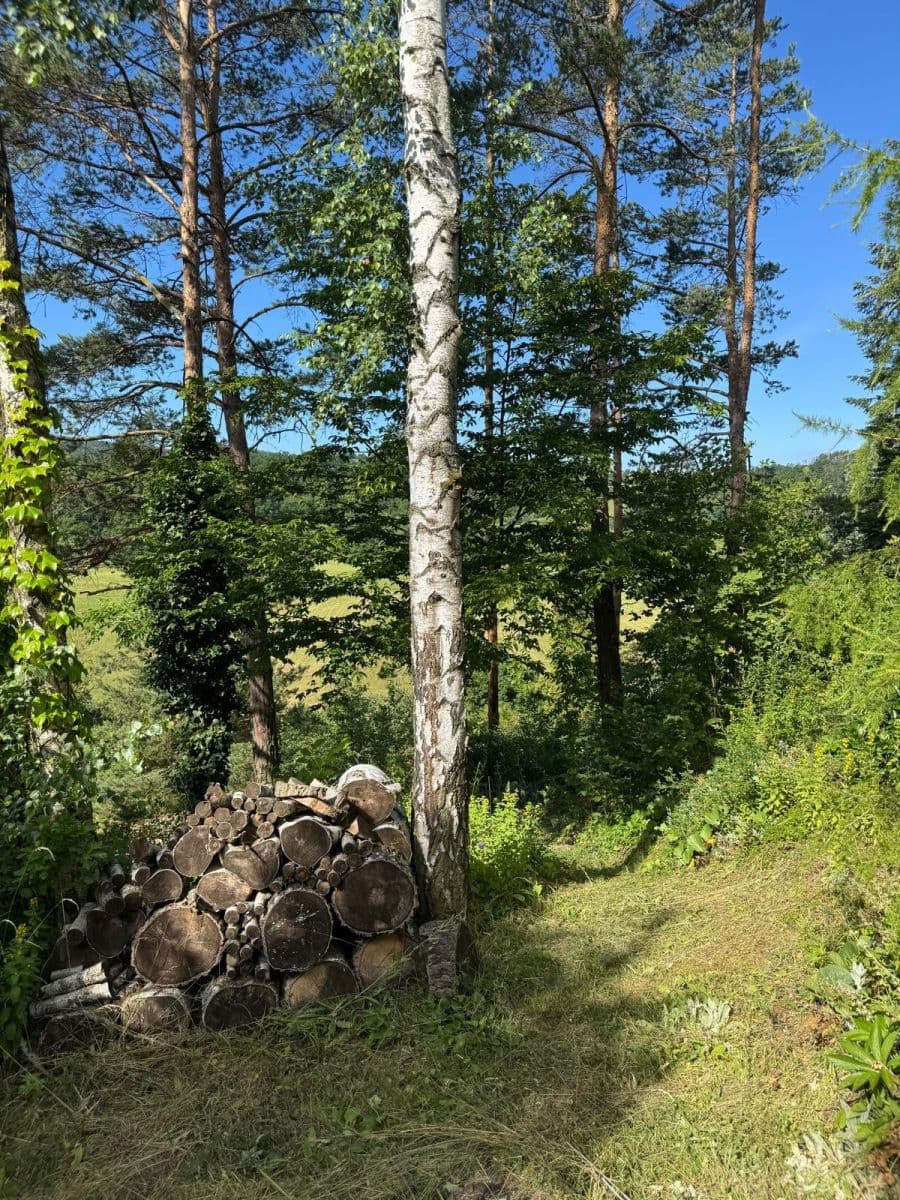 Predaj pozemku 996 m², Nenačovice, Středočeský kraj Predaj pozemku 996 m², Nenačovice, Středočeský kraj