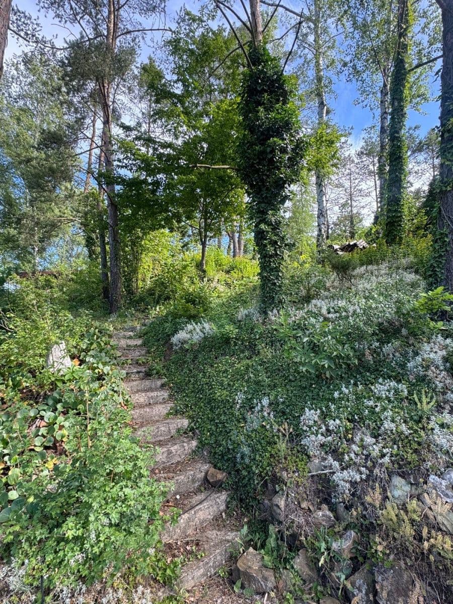 Predaj pozemku 996 m², Nenačovice, Středočeský kraj Predaj pozemku 996 m², Nenačovice, Středočeský kraj