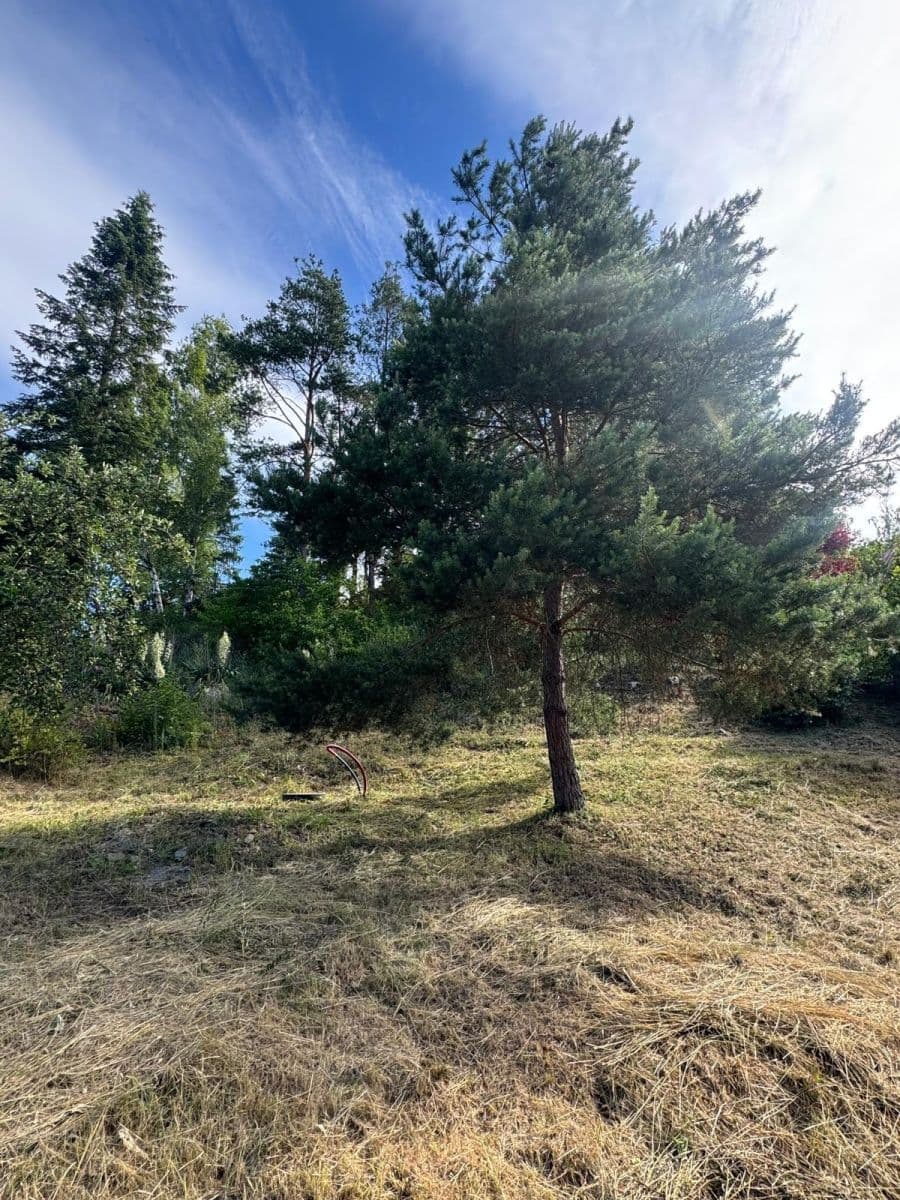 Predaj pozemku 996 m², Nenačovice, Středočeský kraj Predaj pozemku 996 m², Nenačovice, Středočeský kraj