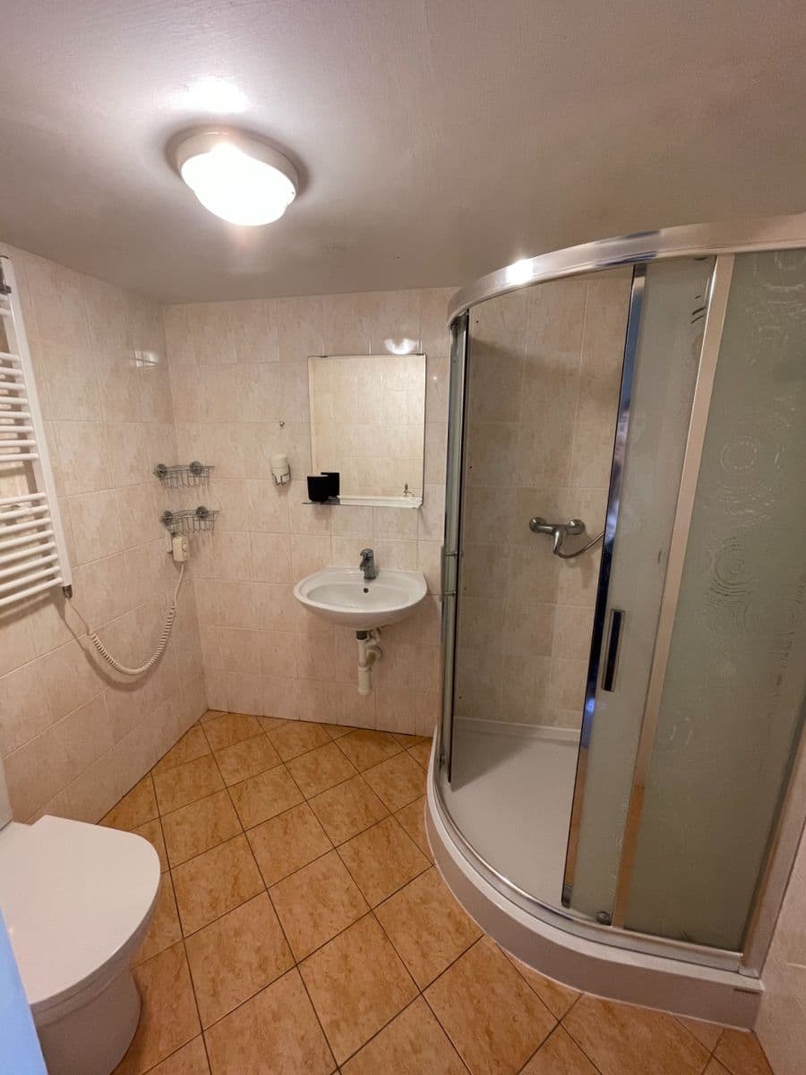 Predaj bytu 1-izbový 25 m², Nuselská, Praha, Praha Predaj bytu 1-izbový 25 m², Nuselská, Praha, Praha