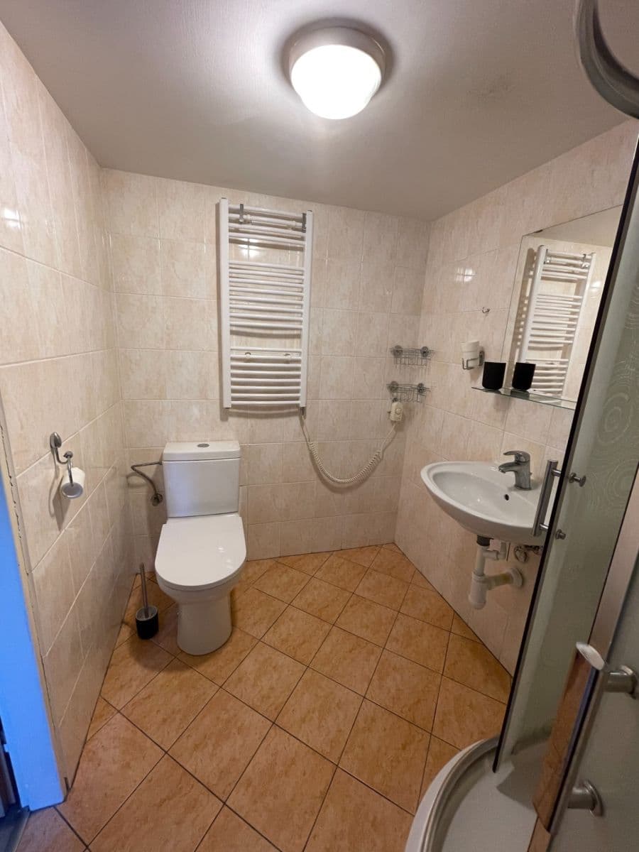 Predaj bytu 1-izbový 25 m², Nuselská, Praha, Praha Predaj bytu 1-izbový 25 m², Nuselská, Praha, Praha