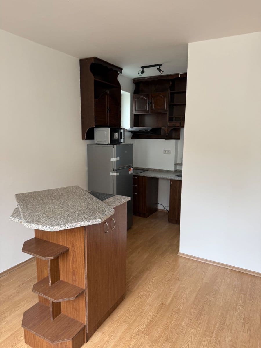 Prenájom bytu 1-izbový 31 m², Adamcova, Brno, Jihomoravský kraj Prenájom bytu 1-izbový 31 m², Adamcova, Brno, Jihomoravský kraj